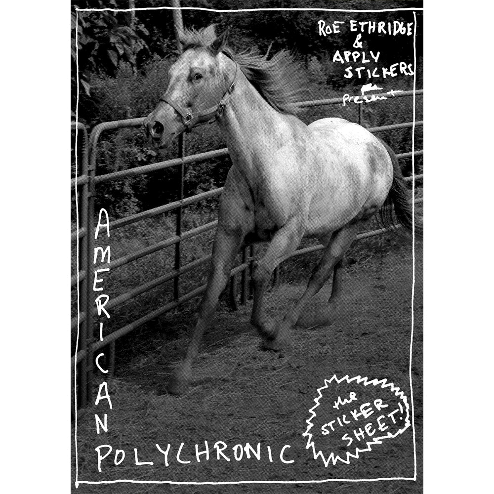 American Polychronic By Roe Ethridge - Sticker Sheet - Image 3