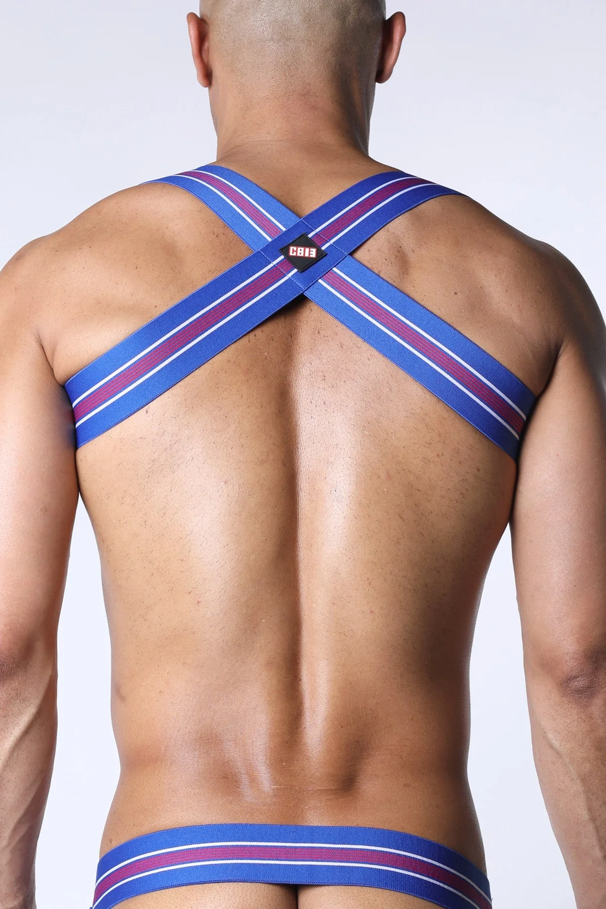 CELLBLOCK 13 Tight End Elastic Harness - Blue - Image 3