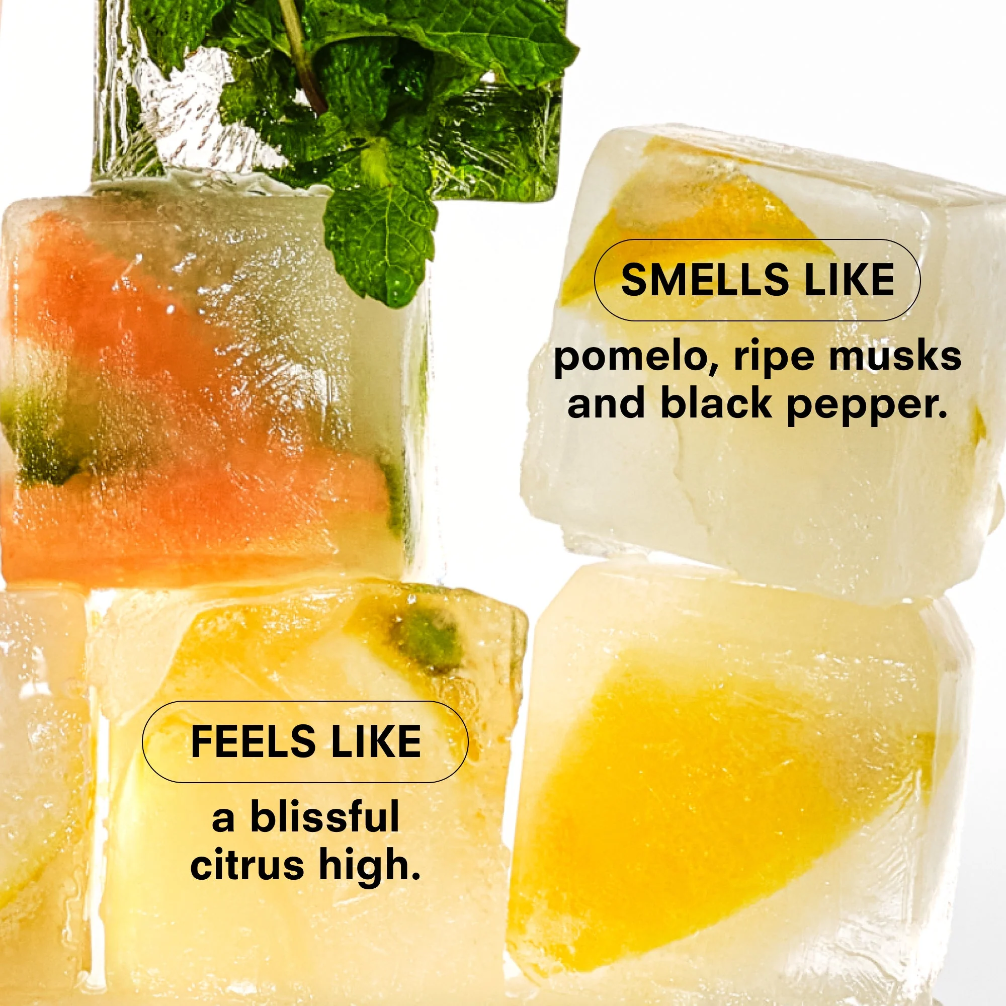 CITRUSH Travel Fragrance by Boy Smells - Image 4