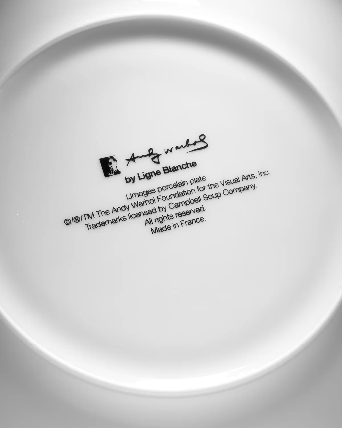ANDY WARHOL PORCELAIN PLATE - CAMPBELL - ORANGE/BLUE - Image 9