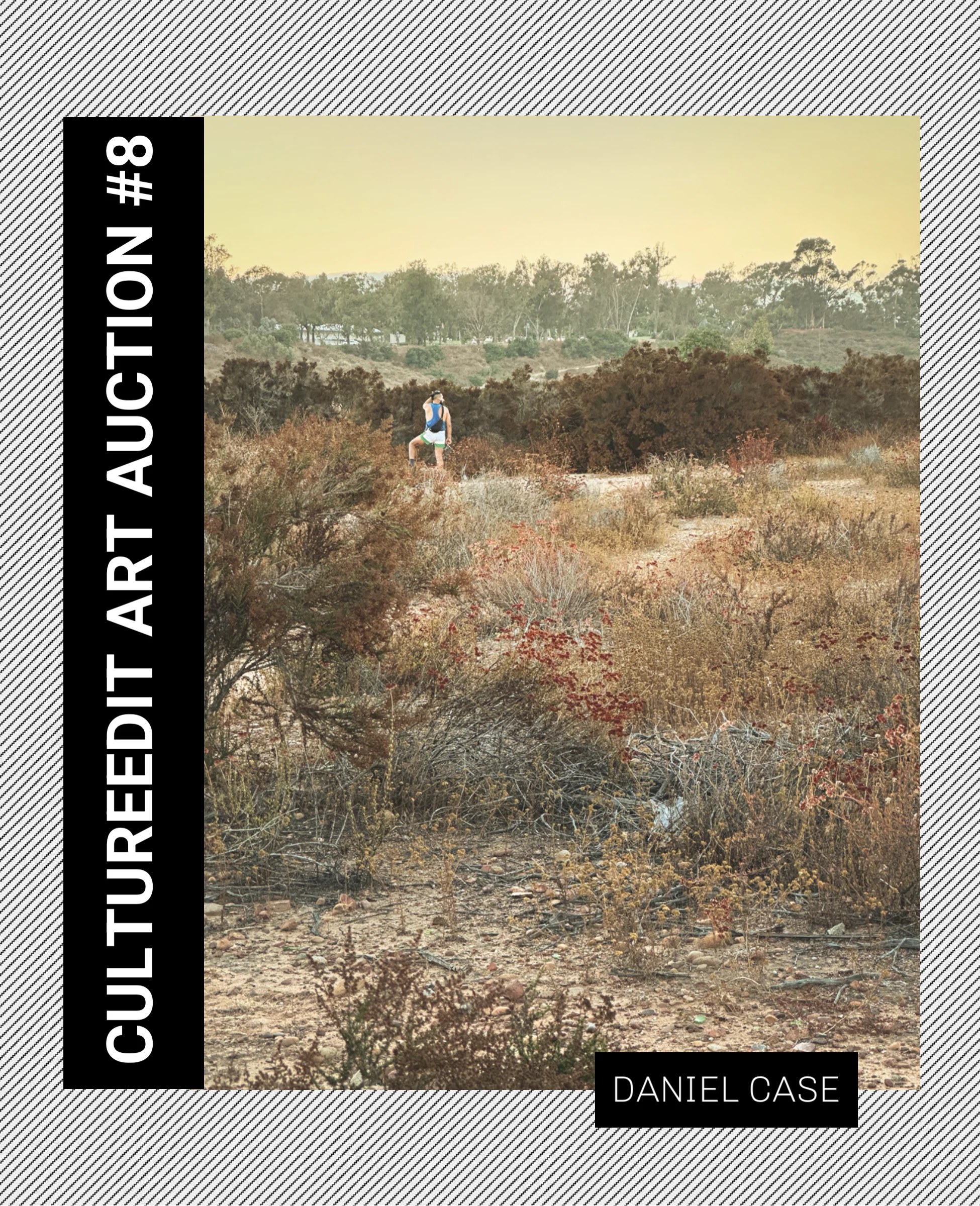 Daniel Case, Sunset Watch, 2023 - Image 4