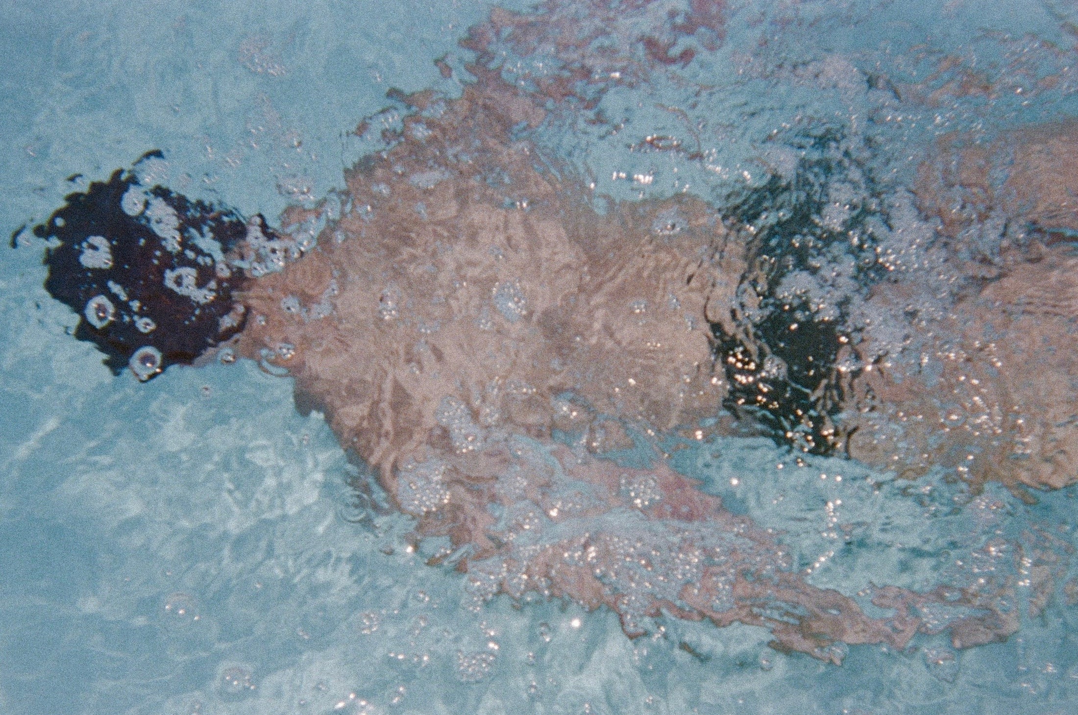 Dominic Albano Swim Brief - Moss - Image 6