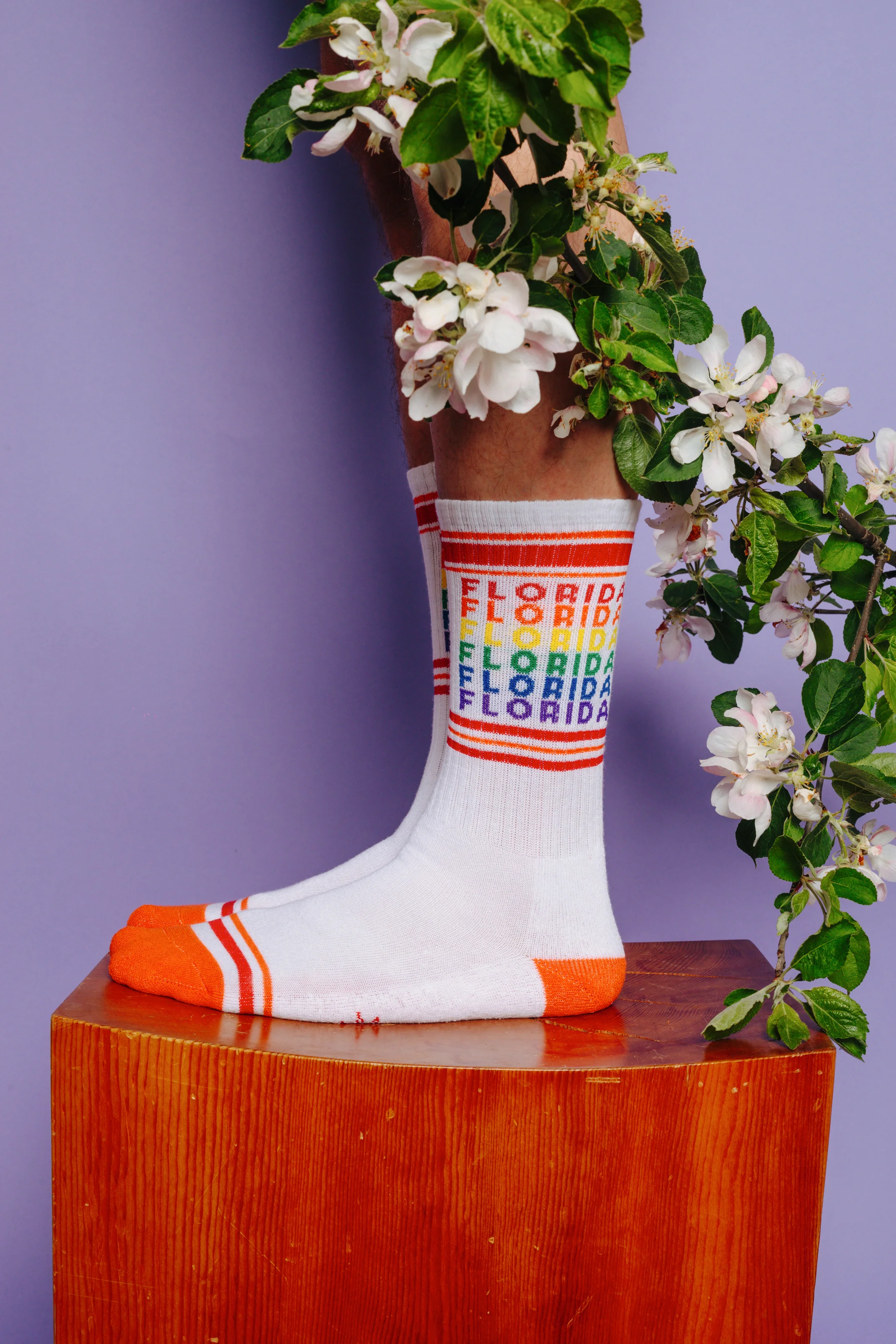 FLORIDA GEO-GAY SOCKS - Image 4