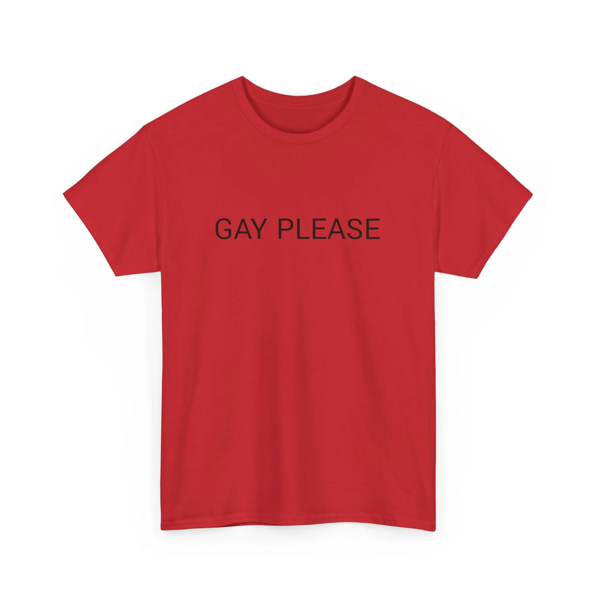 GAY PLEASE TEE BY CULTUREEDIT AVAILABLE IN 13 COLORS - Image 115