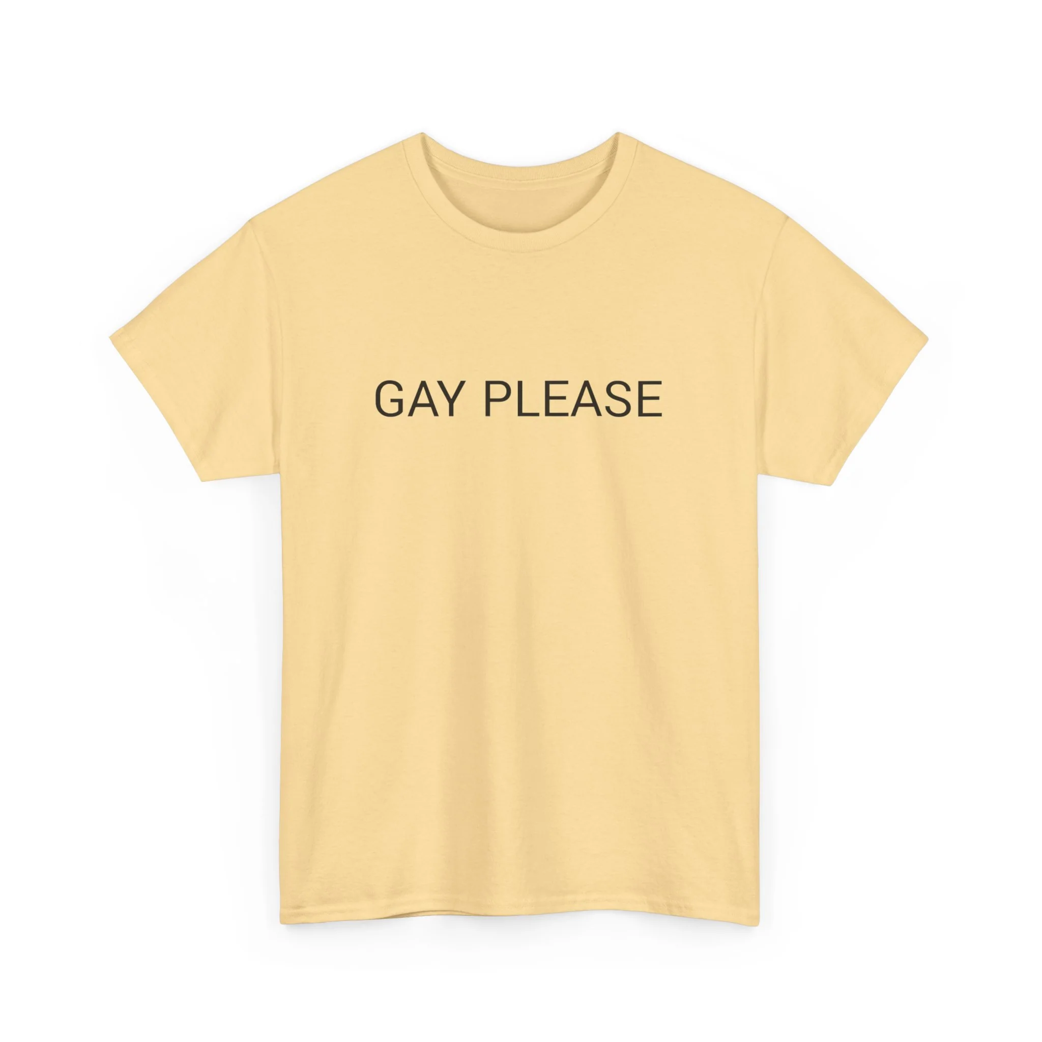 GAY PLEASE TEE BY CULTUREEDIT AVAILABLE IN 13 COLORS - Image 15