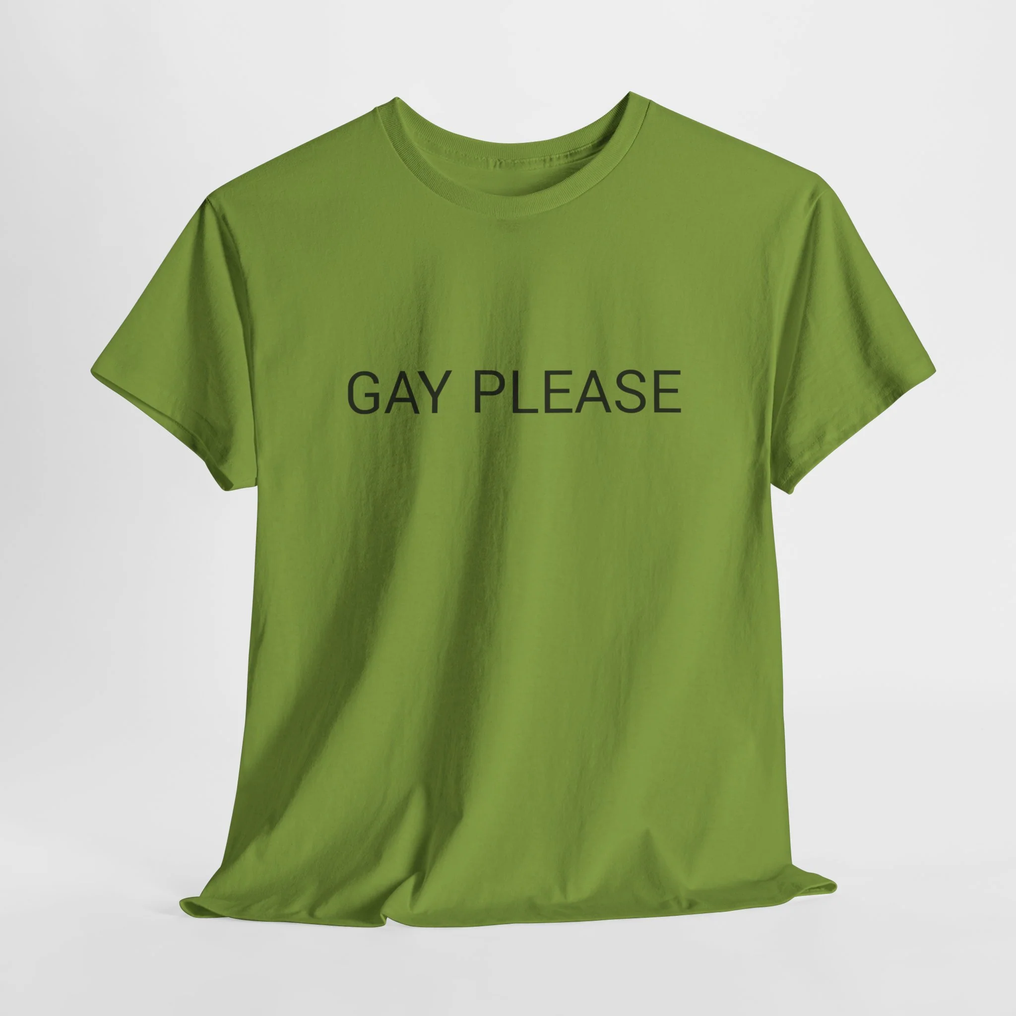 GAY PLEASE TEE BY CULTUREEDIT AVAILABLE IN 13 COLORS - Image 238