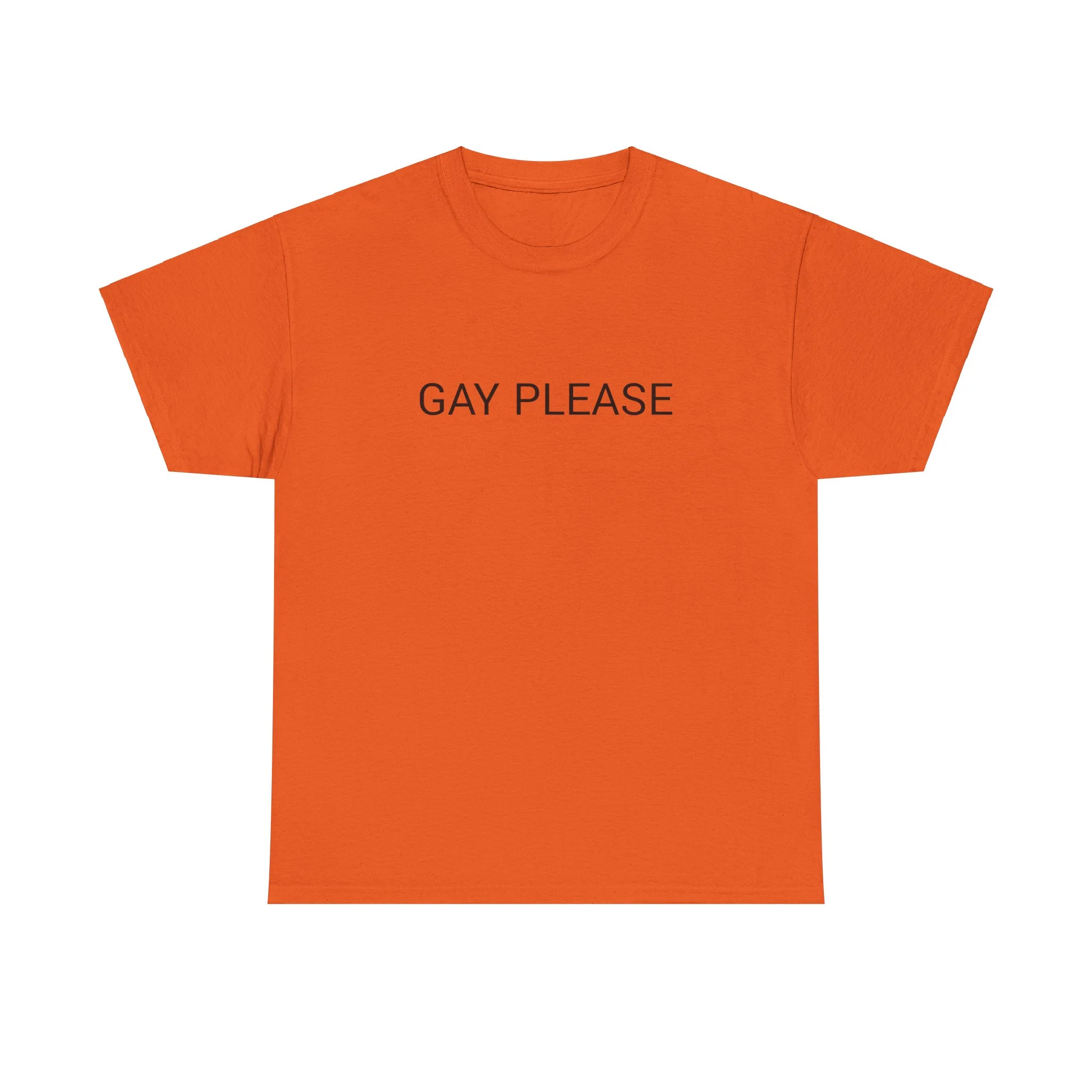 GAY PLEASE TEE BY CULTUREEDIT AVAILABLE IN 13 COLORS - Image 5
