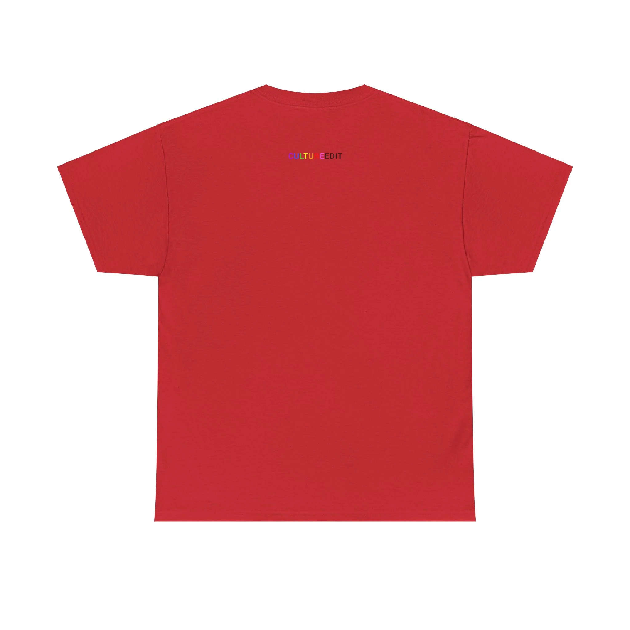 GAYDAR TEE BY CULTUREEDIT AVAILABLE IN 13 COLORS - Image 114