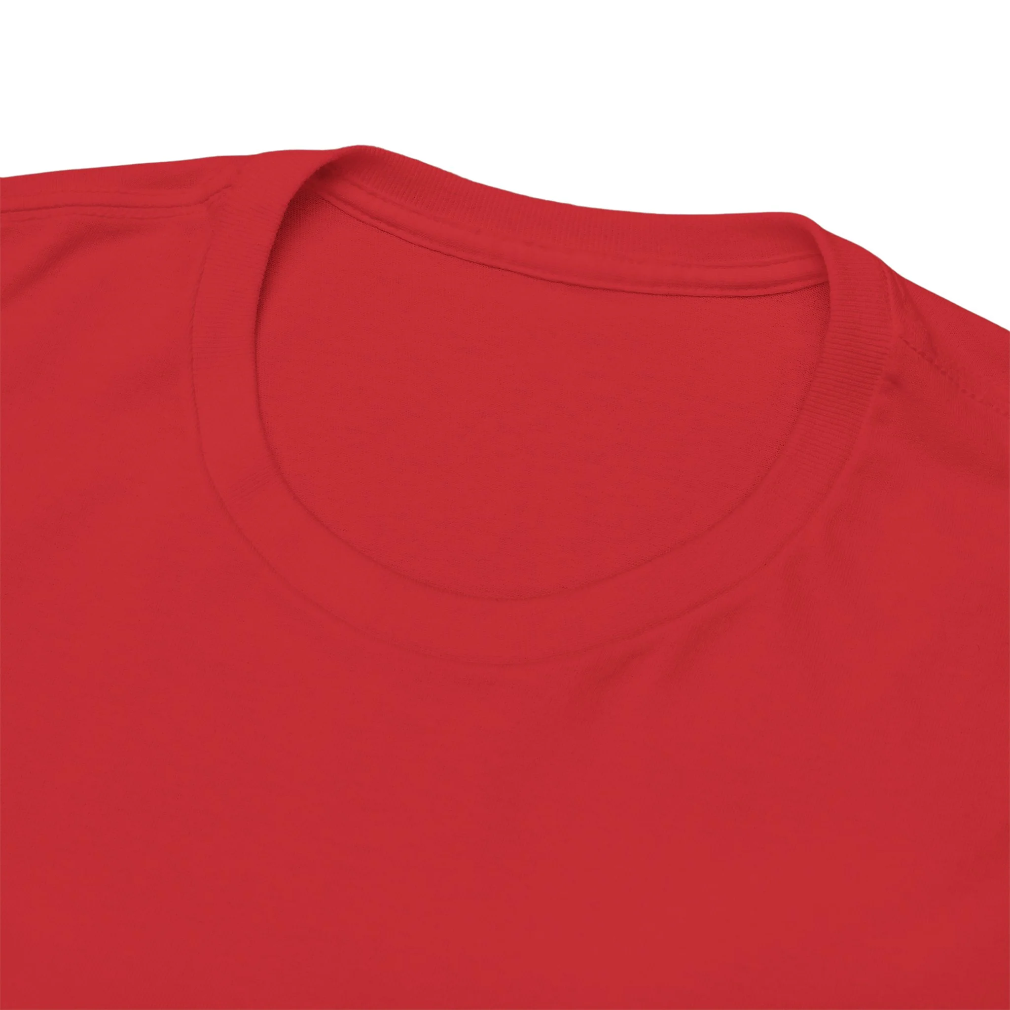 GAYDAR TEE BY CULTUREEDIT AVAILABLE IN 13 COLORS - Image 121
