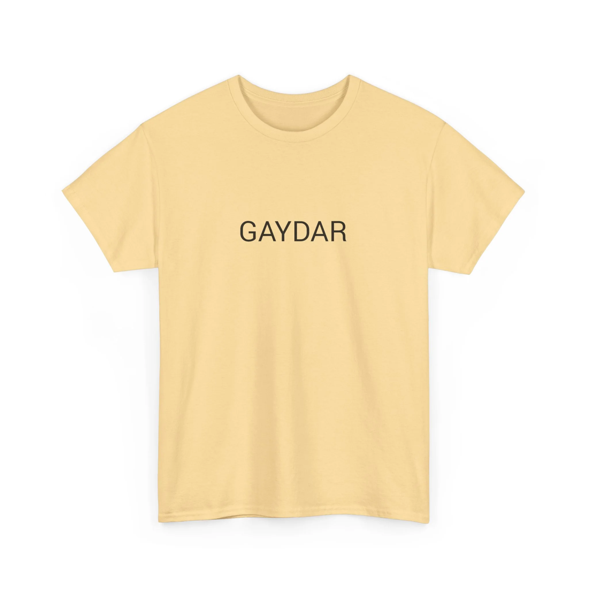 GAYDAR TEE BY CULTUREEDIT AVAILABLE IN 13 COLORS - Image 175