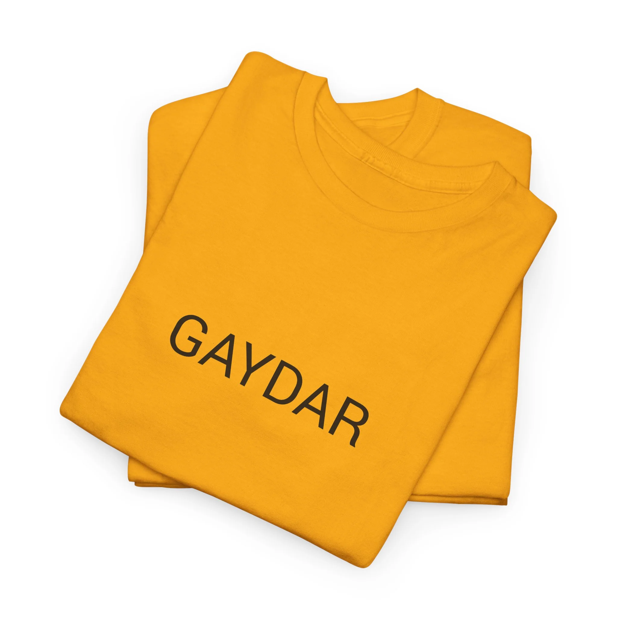 GAYDAR TEE BY CULTUREEDIT AVAILABLE IN 13 COLORS - Image 197