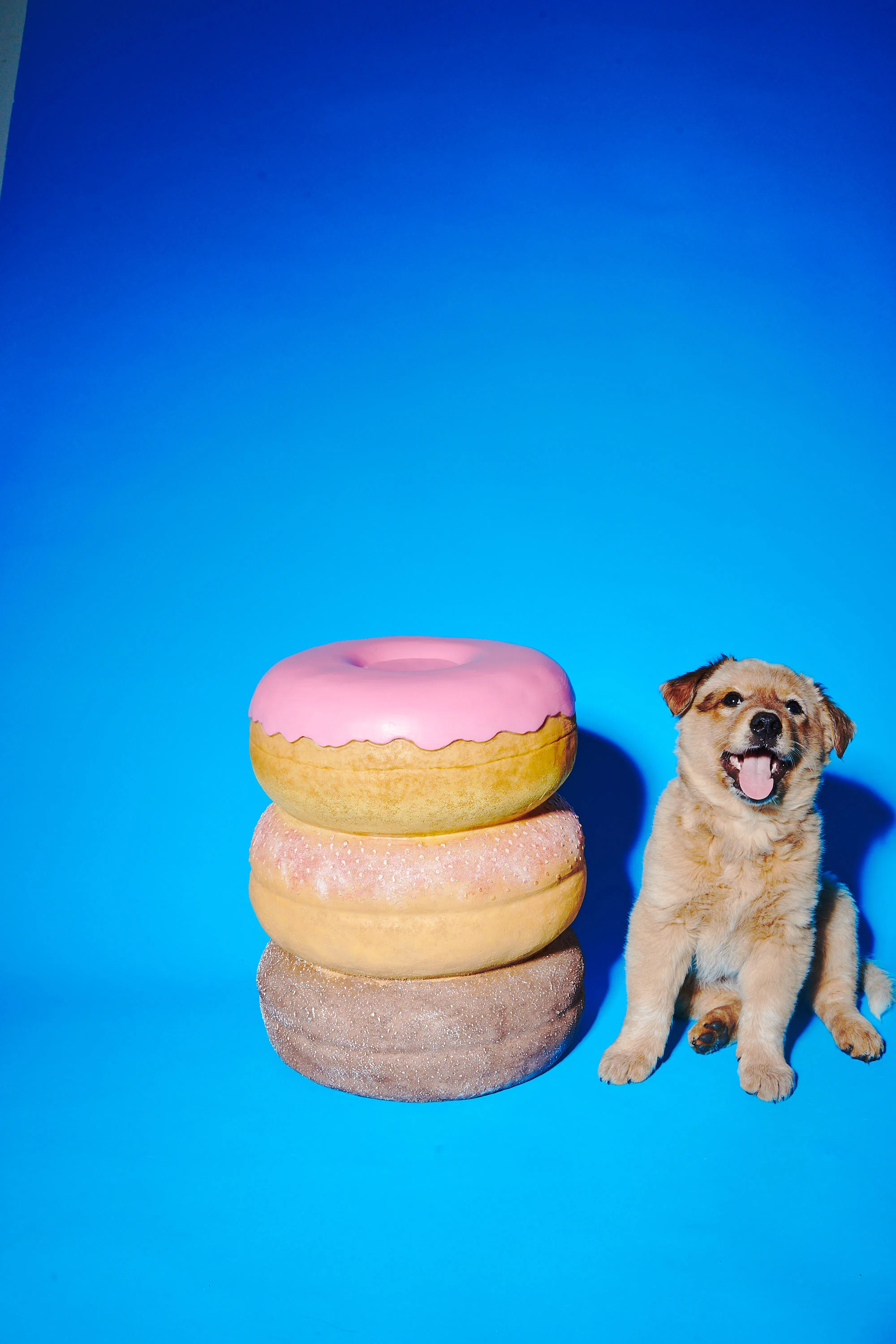 Giant Donut Stool by Third Drawer Down - Image 5