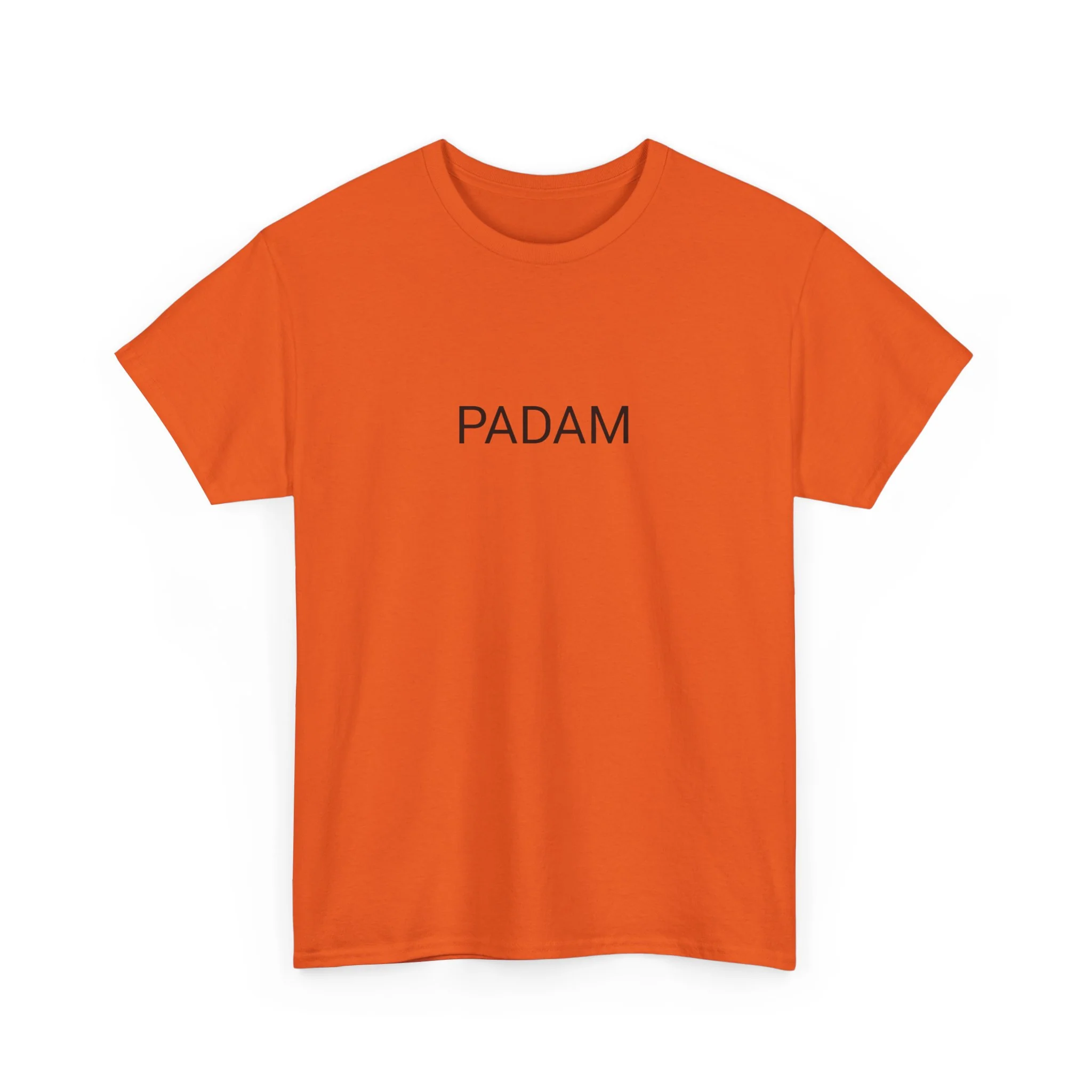 PADAM TEE BY CULTUREEDIT AVAILABLE IN 13 COLORS - Image 95