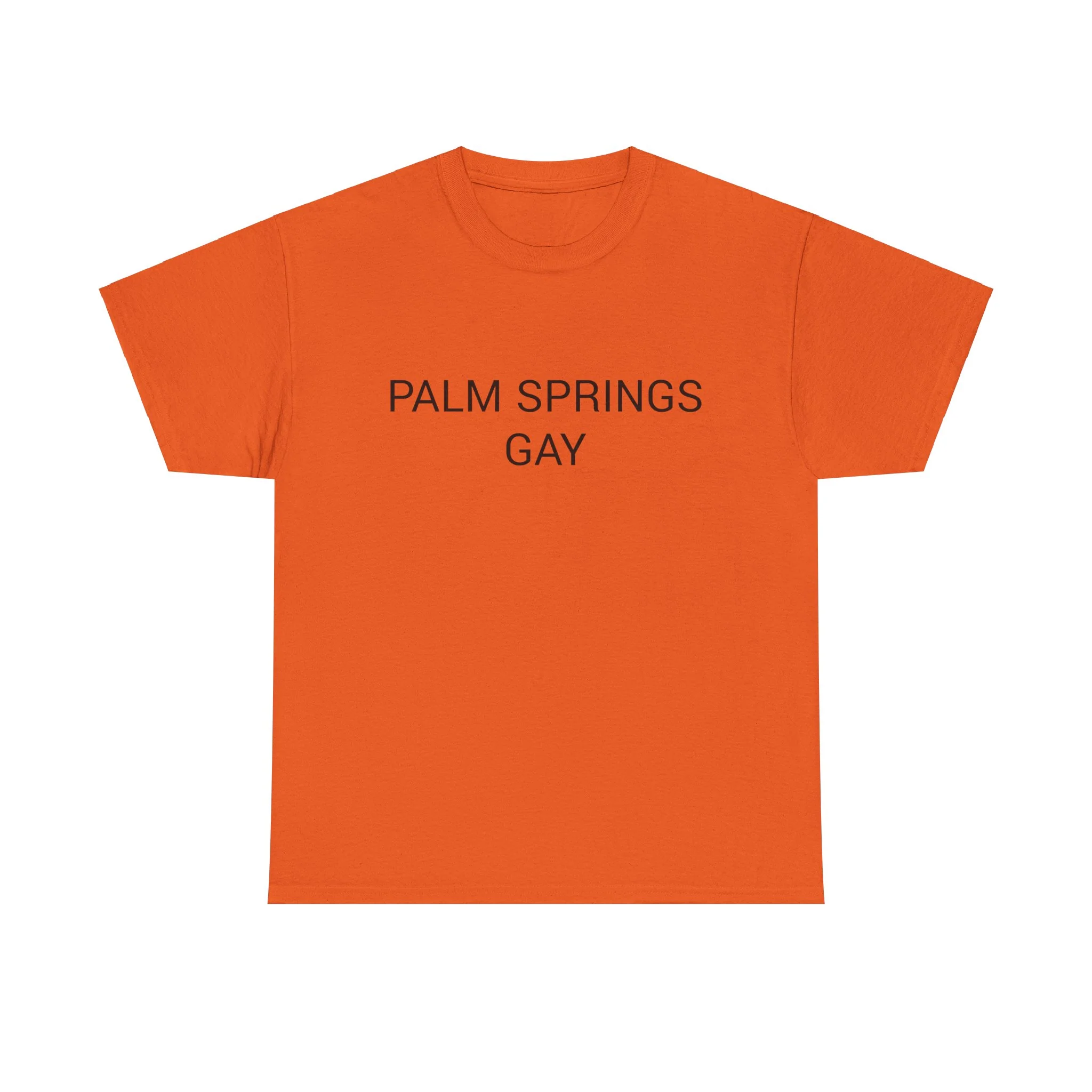 PALM SPRINGS GAY TEE BY CULTUREEDIT AVAILABLE IN 13 COLORS - Image 4