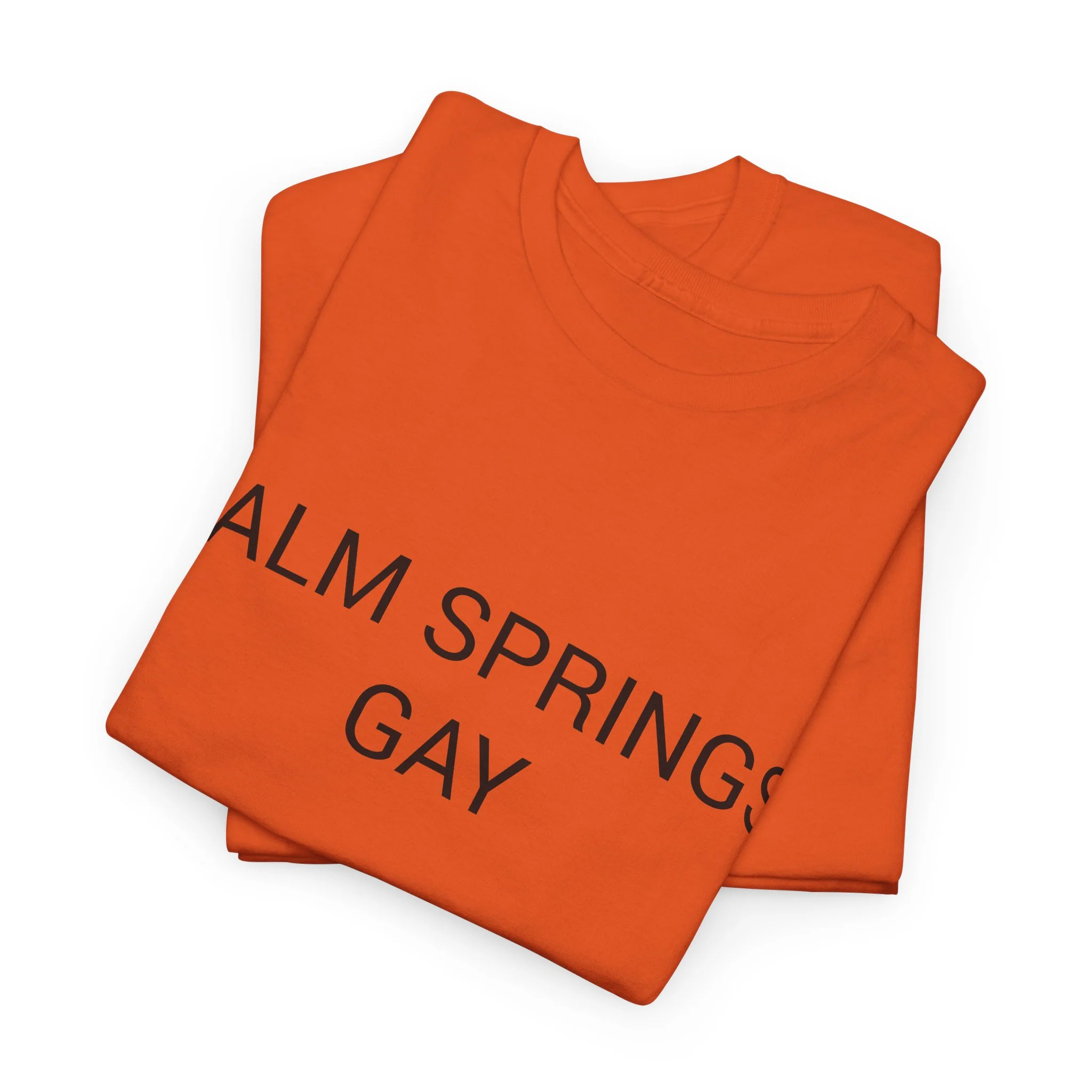 PALM SPRINGS GAY TEE BY CULTUREEDIT AVAILABLE IN 13 COLORS - Image 77