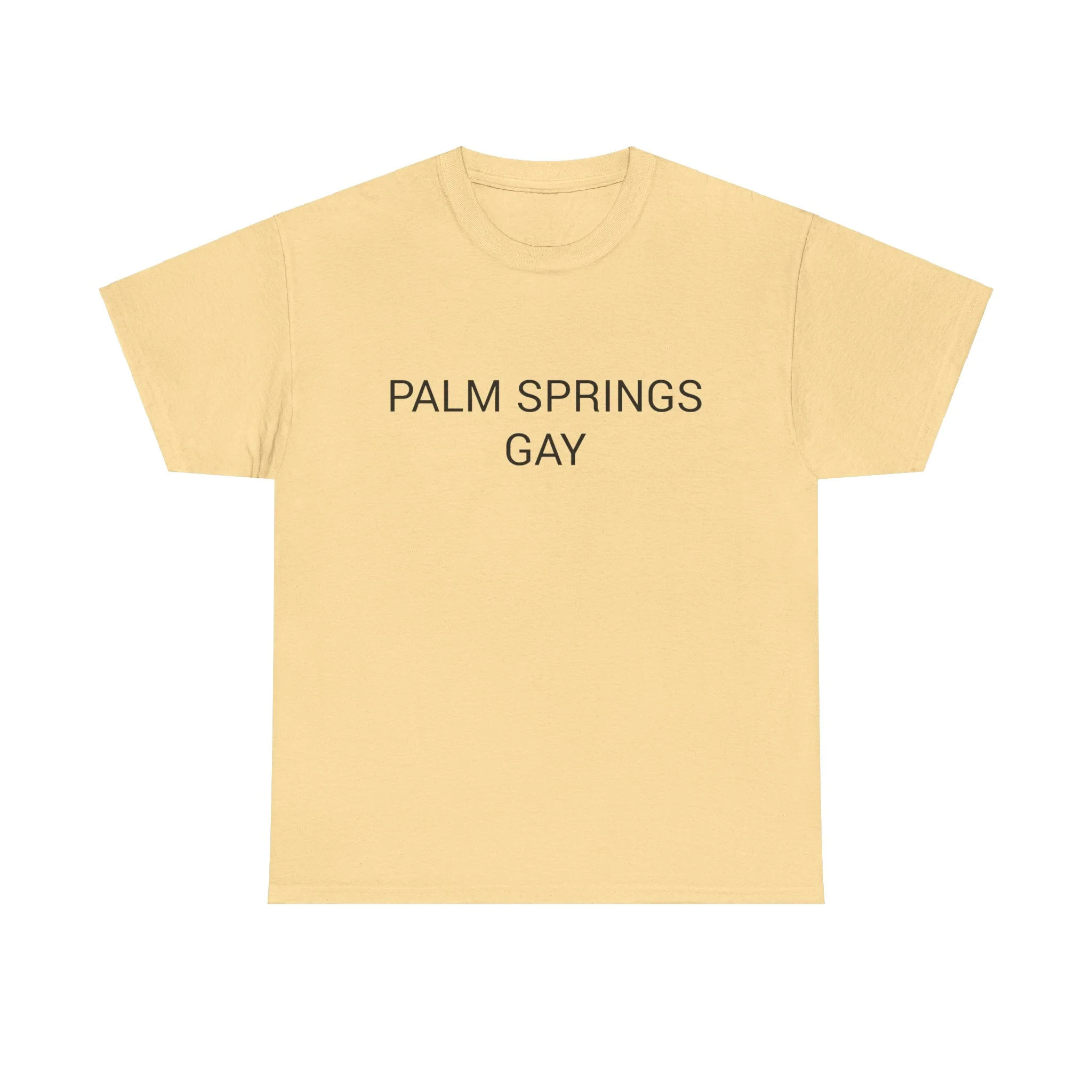 PALM SPRINGS GAY TEE BY CULTUREEDIT AVAILABLE IN 13 COLORS - Image 9