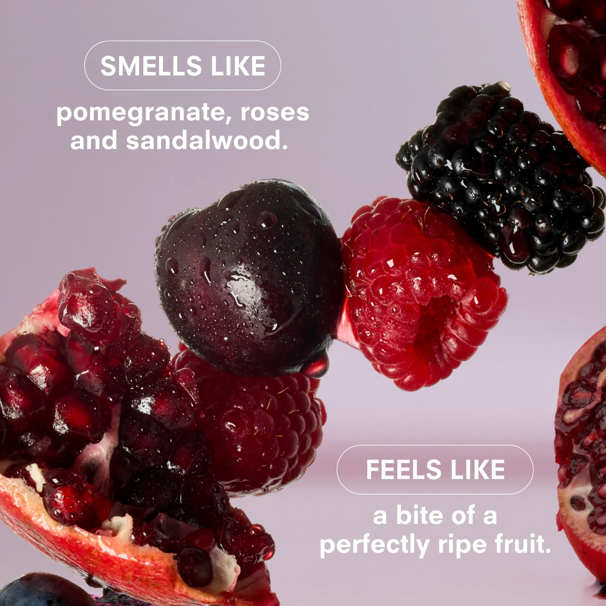ROSY CHEEKS Fragrance by Boy Smells - Image 4
