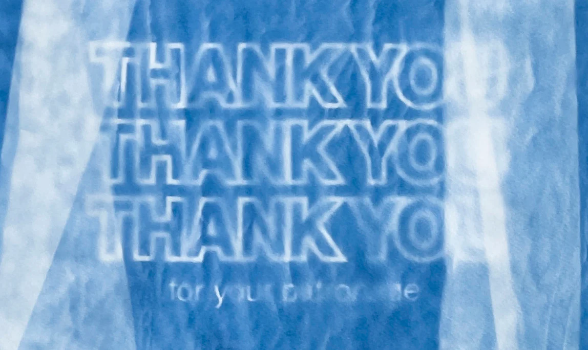 Saumitra Chandratreya, No, Thank You!, 2022 - Image 3