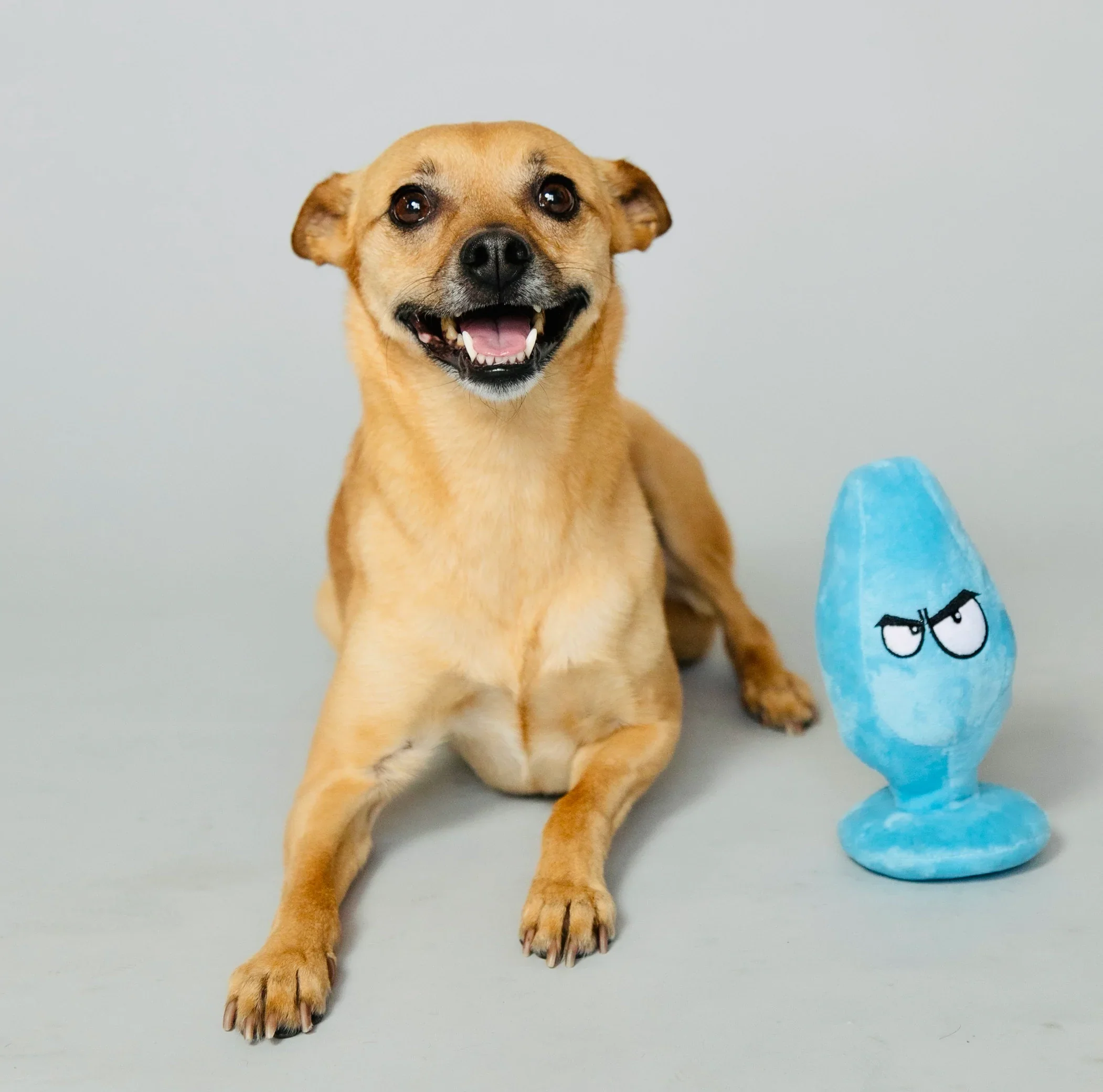 XXX PUPPY TOY: Mutt Plug McRuff (Butt Plug) - Image 10