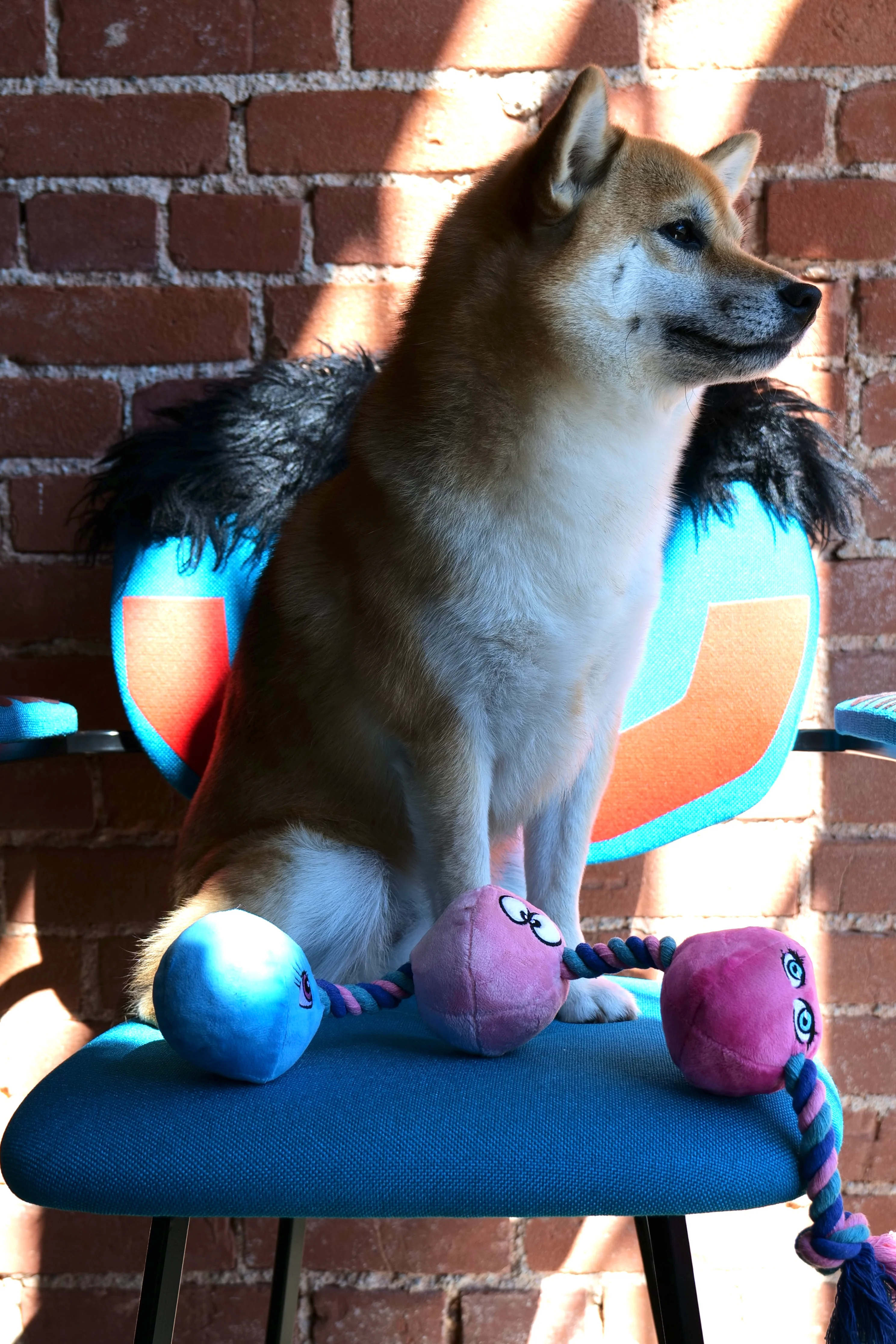 XXX PUPPY TOY: Tug Buttons (Anal Balls) - Image 5
