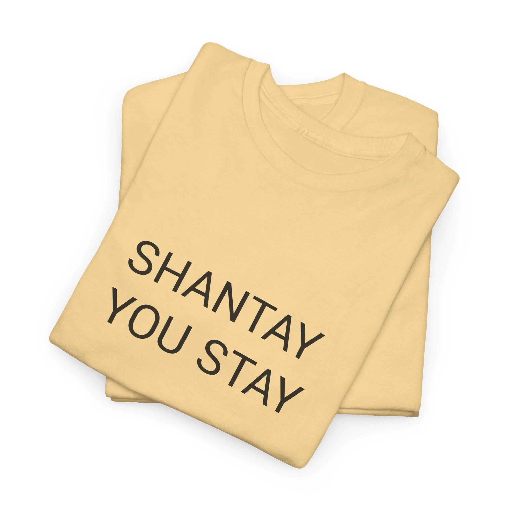 SHANTAY YOU STAY TEE BY CULTUREEDIT AVAILABLE IN 13 COLORS - Image 177