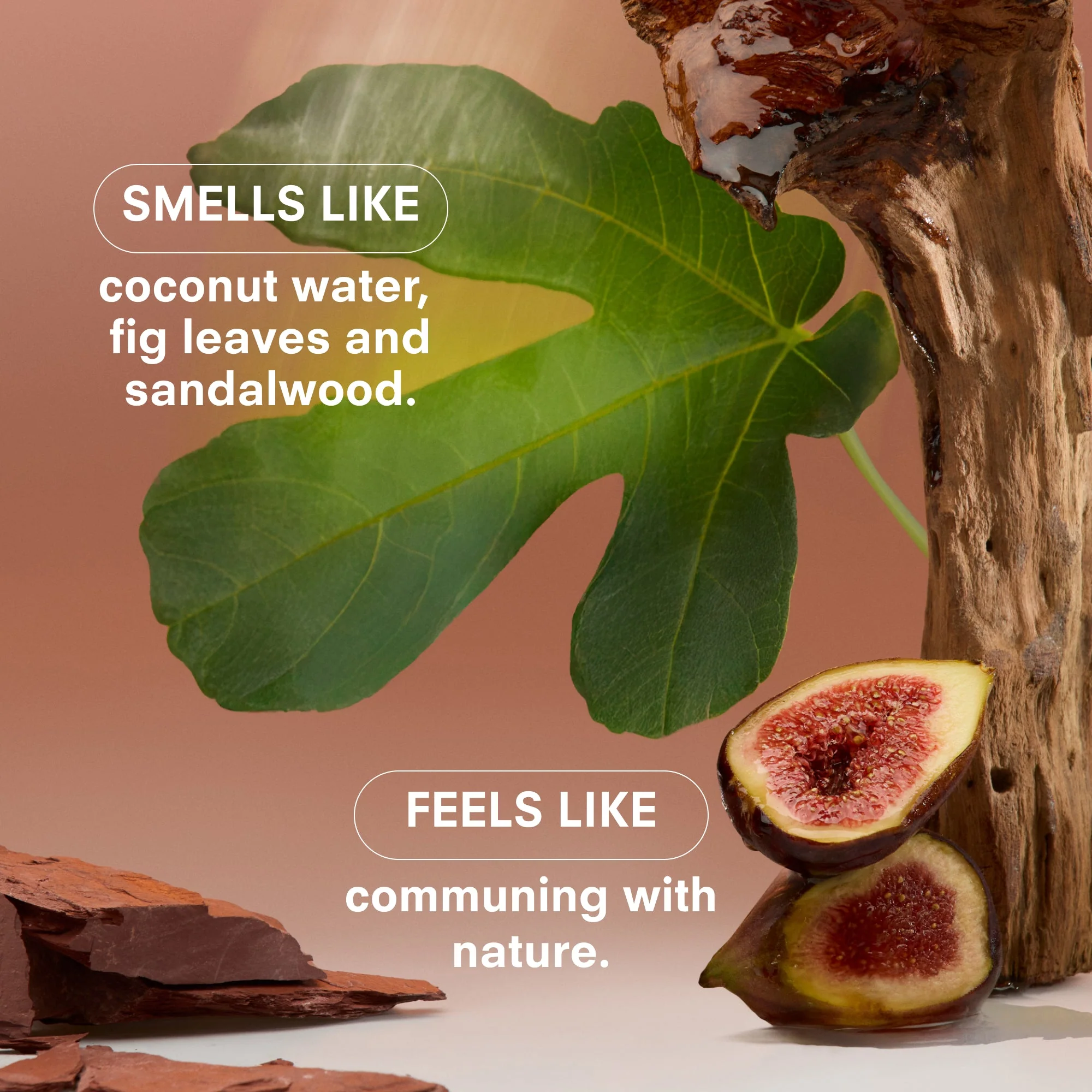 WOODPHORIA Fragrance by Boy Smells - Image 6